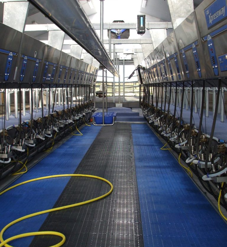 Leerer Melkstand von Boumatic in blau mit Hubboden, Melkzeuge befinden sich in Reinigungsposition.